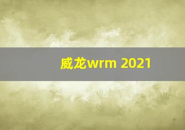 威龙wrm 2021